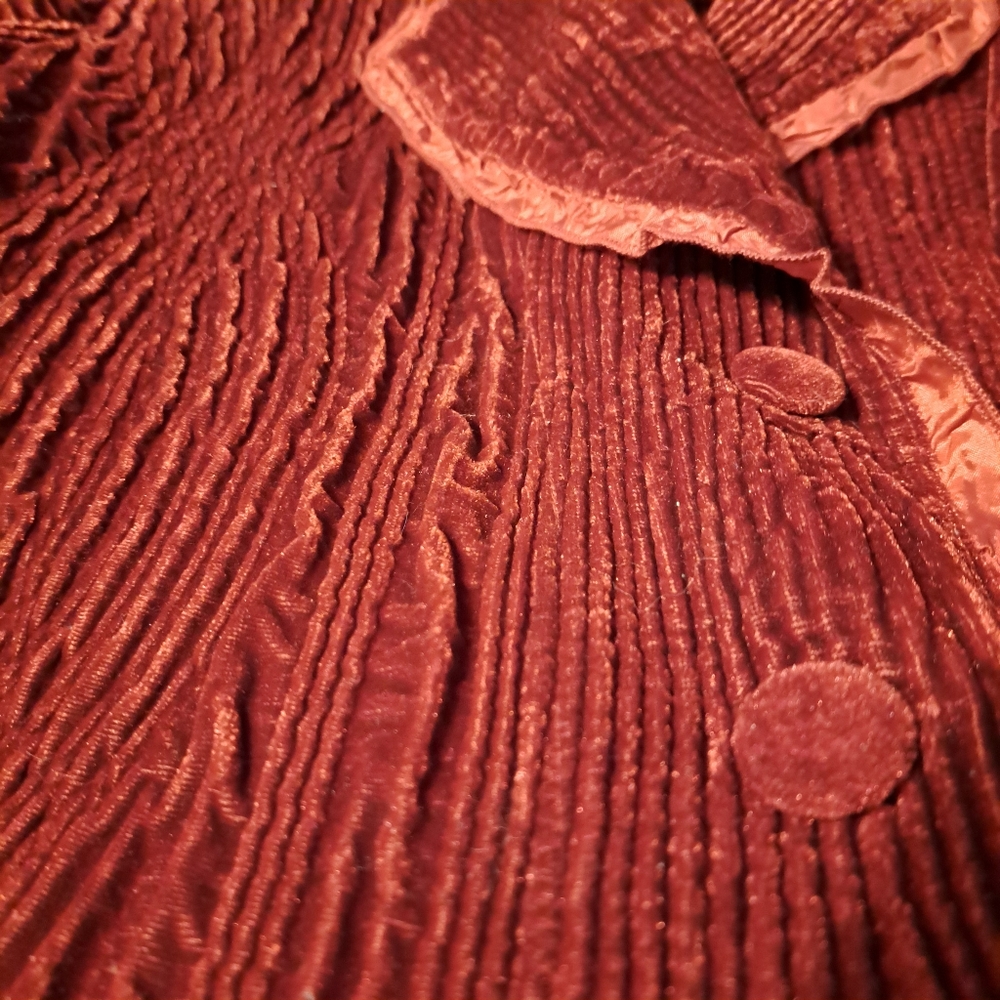 Vintage Deep Red Textured Velvet Blazer - Picture 5 of 5